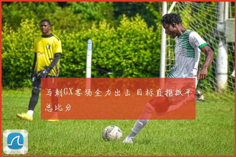 马刺GX客场全力出击 目标直指扳平总比分